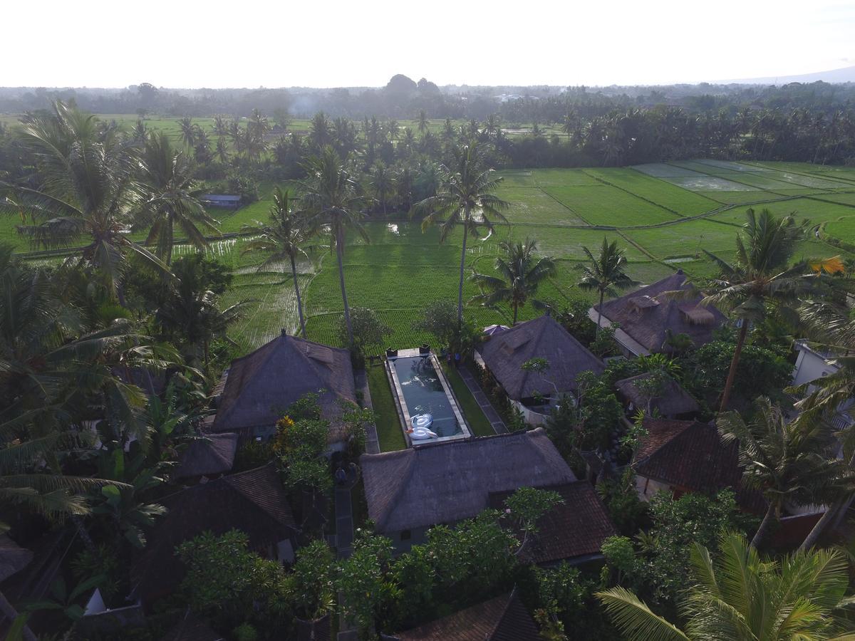 Hotel Lodtunduh Sari Ubud Exteriér fotografie