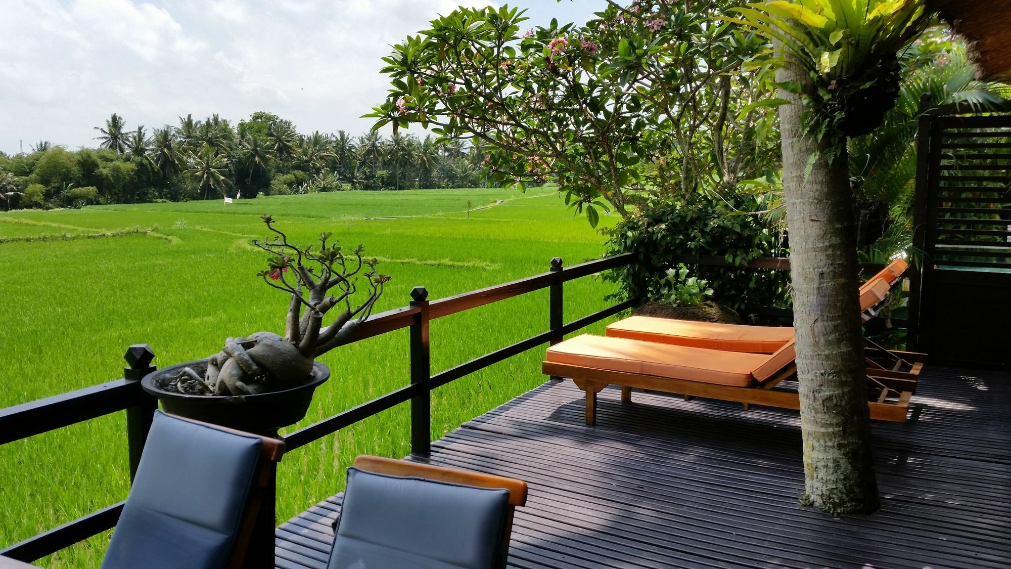 Hotel Lodtunduh Sari Ubud Exteriér fotografie