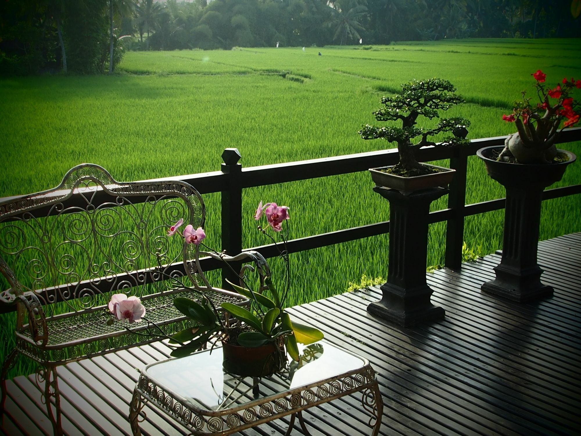 Hotel Lodtunduh Sari Ubud Exteriér fotografie
