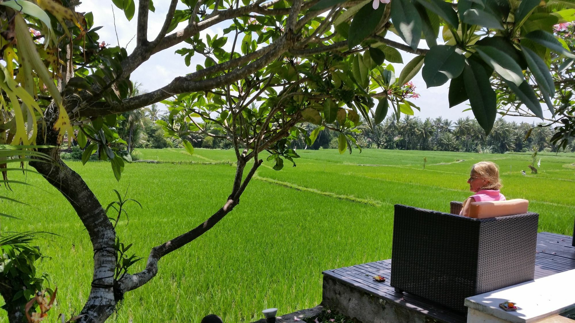Hotel Lodtunduh Sari Ubud Exteriér fotografie