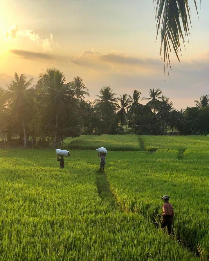Hotel Lodtunduh Sari Ubud Exteriér fotografie